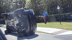 Related article image