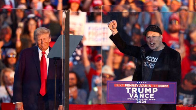 Tesla options draw 'euphoric' trading as Trump win fires up stock