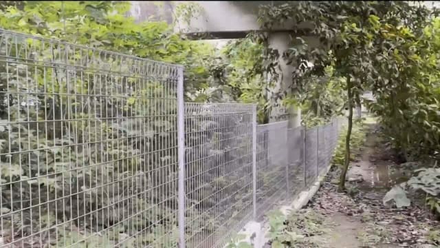 国家公园局在自然保护区等高风险路段 增设树篱和围栏