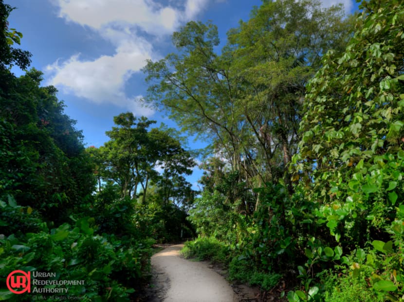 Rich biodiversity on offer as Kranji Marshes open Rich biodiversity on offer as Kranji Marshes open