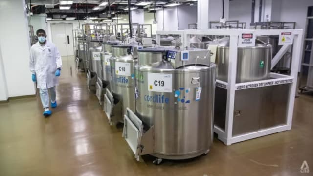 脐带血储存不当 康盛：56%受影响顾客已接受退款