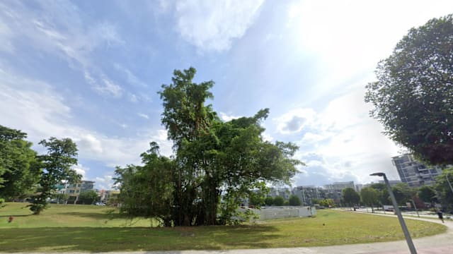 EC新规出台后第一个 坎贝拉推出地段招标