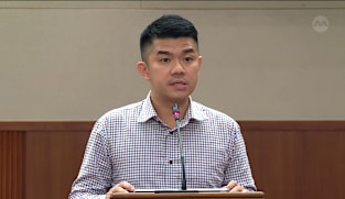 Cai Yinzhou on National Council of Social Service (Amendment) Bill