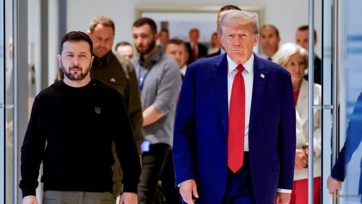 Zelenskyy to meet Trump in Washington to discuss air defence, long-range missiles