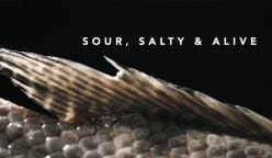Sour, Salty & Alive