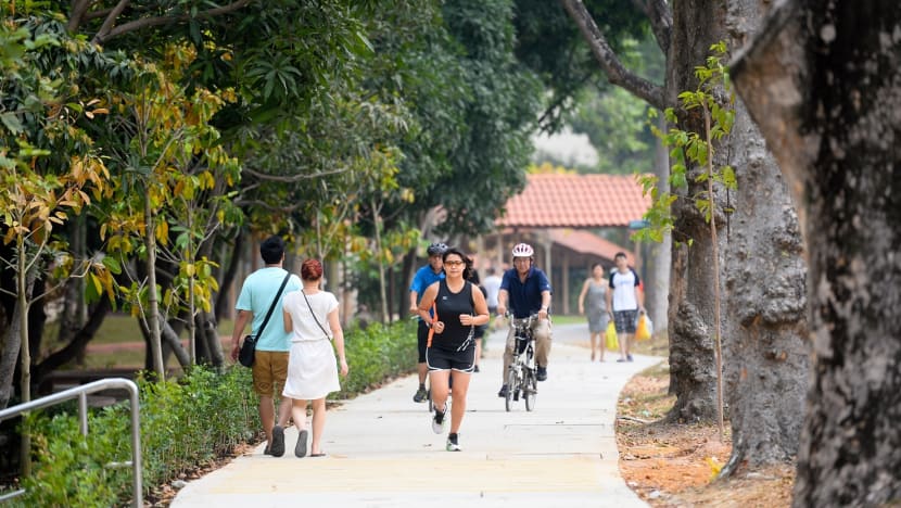 NParks launches new 36km park connector