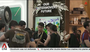 Singapore youths connect with overseas peers, witness negotiations at COP30