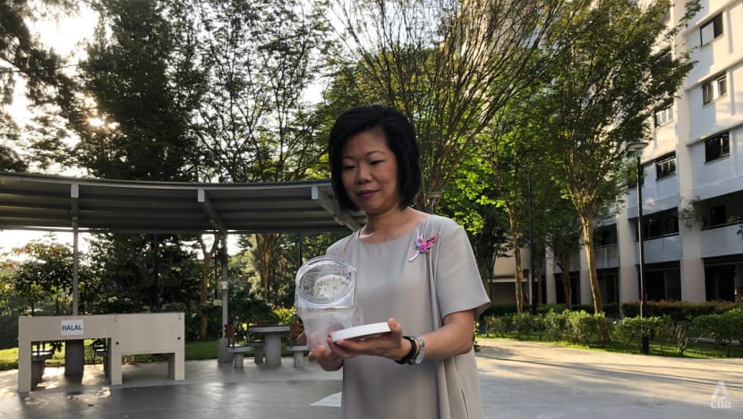 Wolbachia mosquitoes released at Clementi site as part of project expansion to fight dengue Wolbachia mosquitoes released at Clementi site as part of project expansion to fight dengue