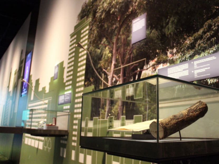 The National Museum of S’pore opens revamped permanent galleries this weekend