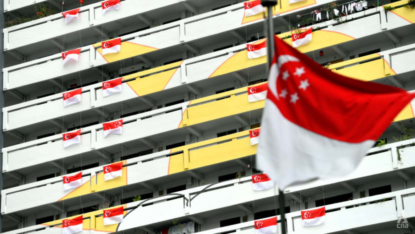National Day celebrations: Singaporeans encouraged to display national flag until September