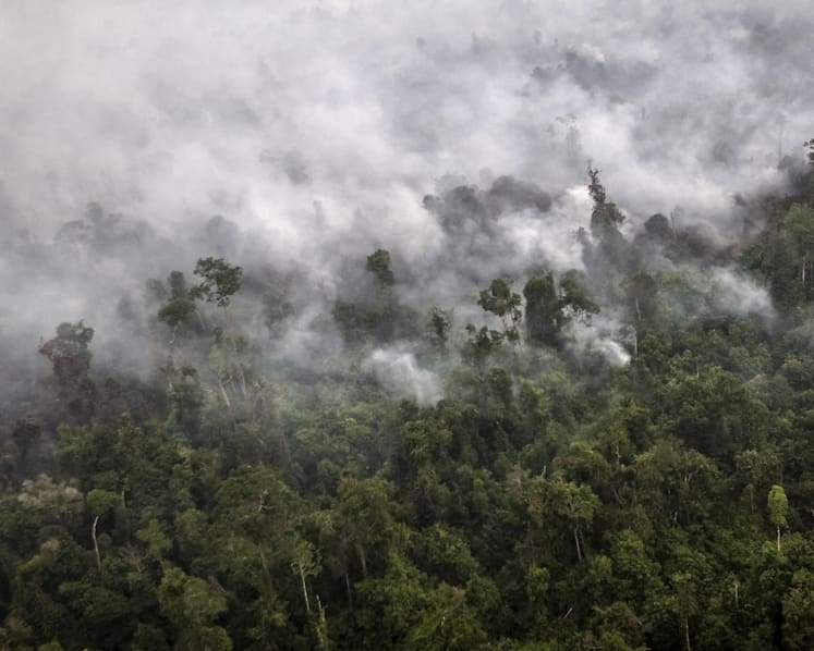 Indonesia ‘morally and legally responsible for haze’
