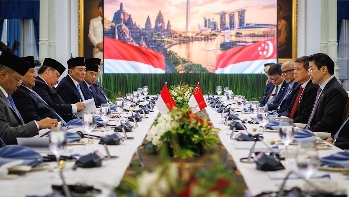 Singapore and Indonesia 'strategically aligned' to keep Strait of Malacca and Singapore open to all: PM Wong