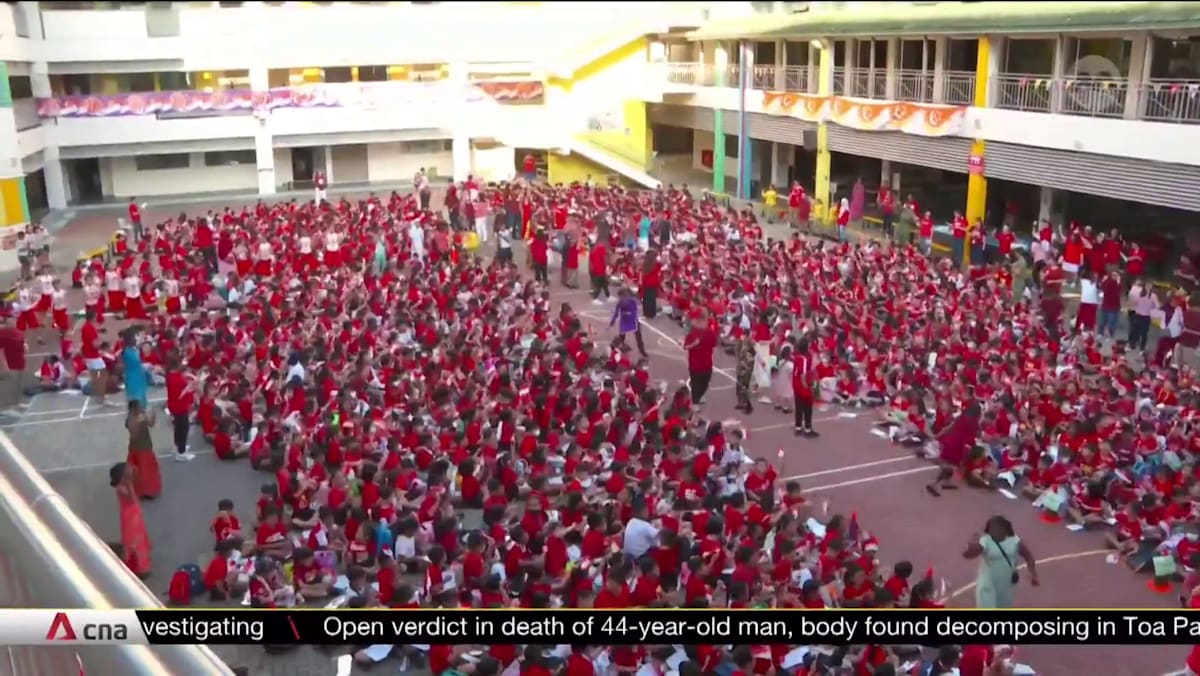 Schools celebrate National Day with a twist | Video - CNA