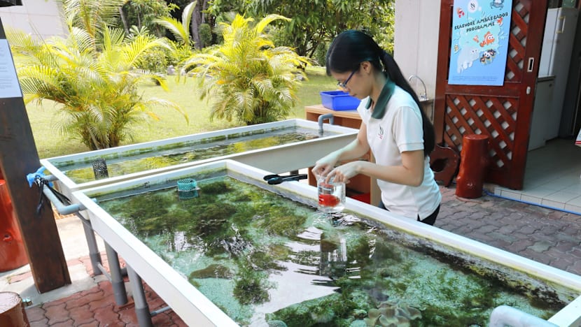 Sisters’ Island Park Public Gallery opens