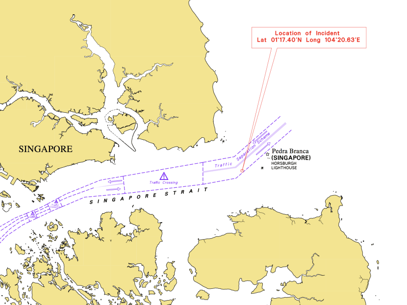 The duo were spotted in waters about 4.3 nautical miles from Horsburgh Lighthouse.