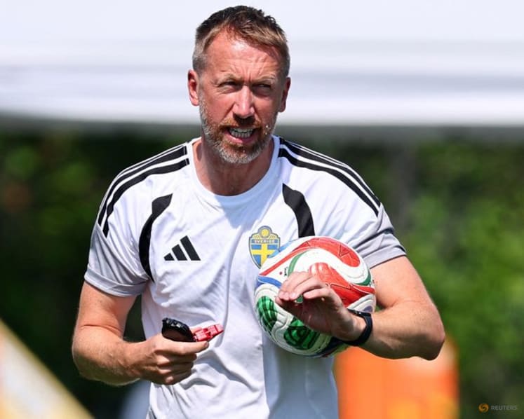 Weaknesses hard to find in France defence, says Sweden coach Potter