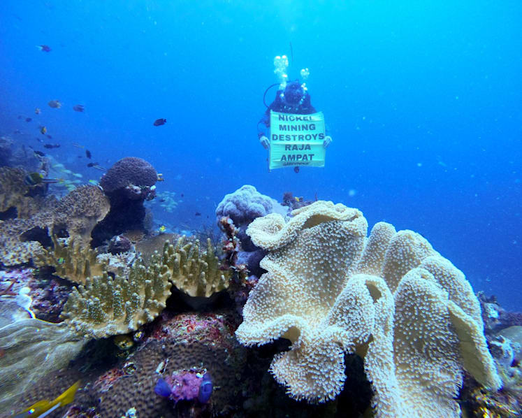 Indonesia probes alleged nickel mining in world-renowned coral reef haven Raja Ampat