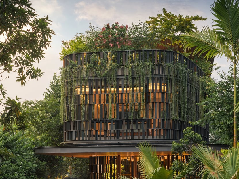 This is the first house in Singapore to win an award at the prestigious World Architecture Festival