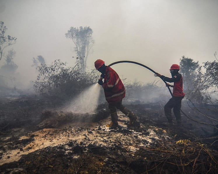 Indonesia to prevent peatland fires using ‘weather modification technology’