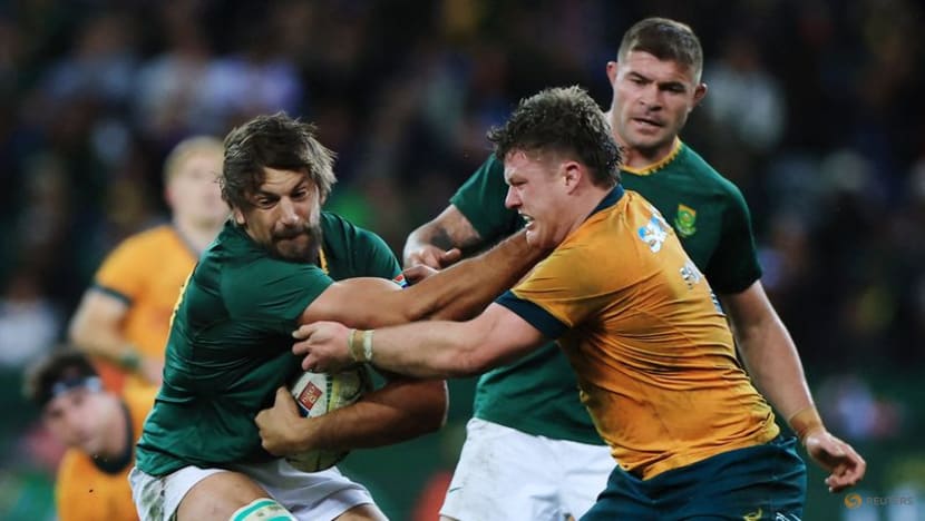 Springboks go back to basics to beat Australia 30-22 Springboks go back to basics to beat Australia 30-22