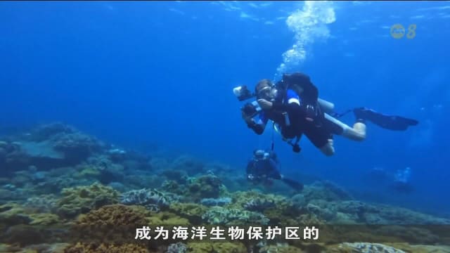 菲律宾首个零废弃岛屿 不少游客慕名前往阿波岛