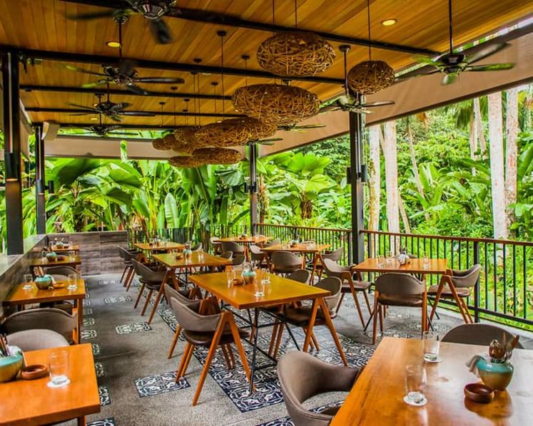 Singapore Botanic Gardens restaurant The Halia to close after 25 years