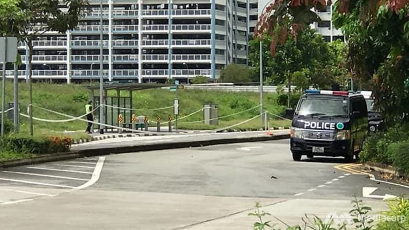 Lelaki 20 tahun ditangkap berhubung pembunuhan di Punggol Field Lelaki 20 tahun ditangkap berhubung pembunuhan di Punggol Field