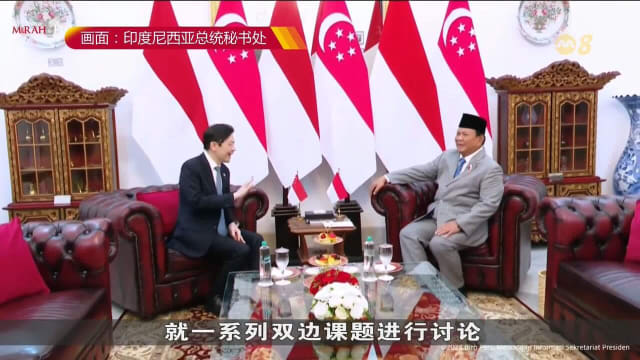 黄循财总理同印尼总统普拉博沃正式会晤