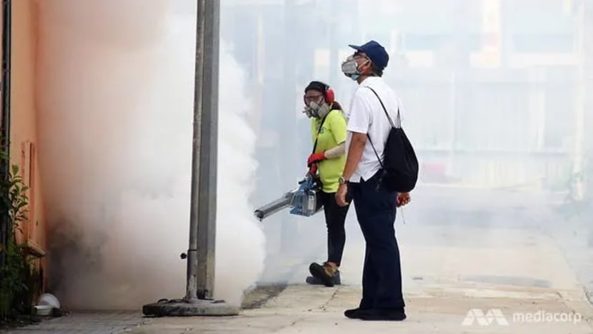 'Kekal waspada' elak lonjakan kes denggi jelang hujung tahun, nasihat NEA 'Kekal waspada' elak lonjakan kes denggi jelang hujung tahun, nasihat NEA