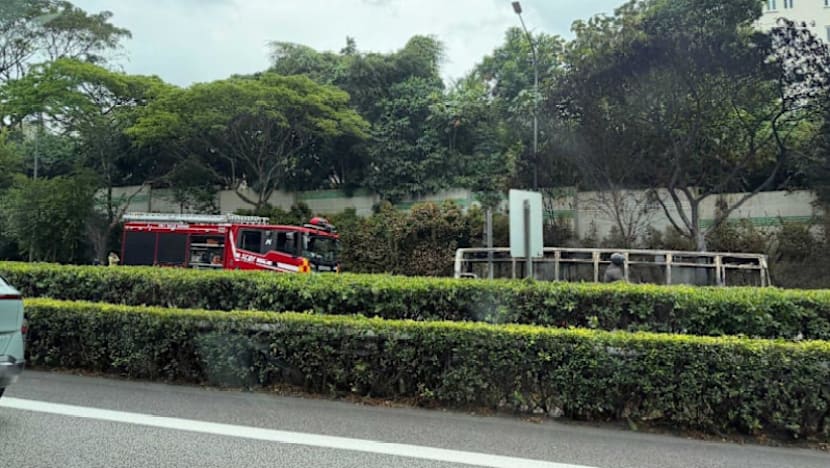 Related article image