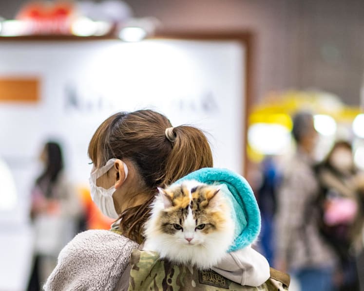 Commentary: 5 healthy new year’s resolutions to make for your pets