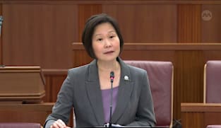 Gan Siow Huang on limited potential of tidal energy for Singapore