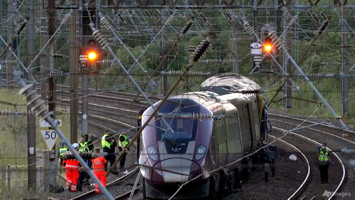Driver killed in UK train collision passed red signal: investigators