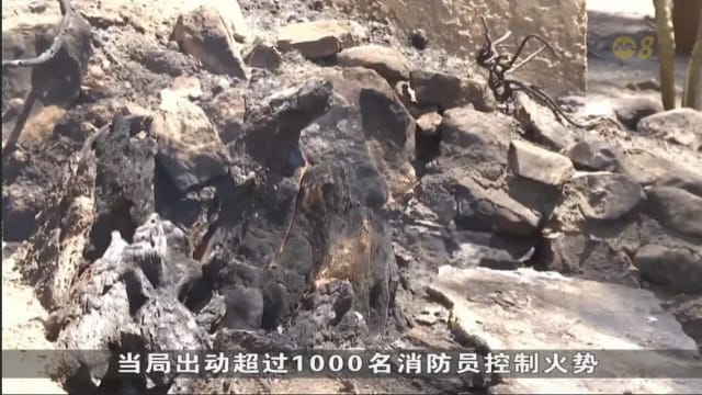 法国马赛林火受控 居民重返家园