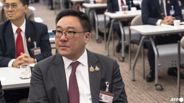 泰国为泰党举行党大会 长朱拉潘当选为新党魁