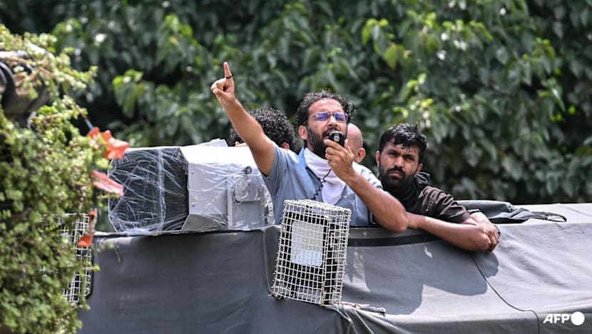India activists demand release of detained 'cockroach' protesters