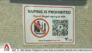 The Year in Review: Singapore is stepping up its fight against Kpods after a year of crackdowns 