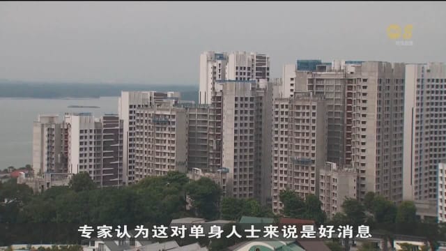 受访房地产专家：新预购组屋分类法合乎时宜 能反映不同地段组屋价格