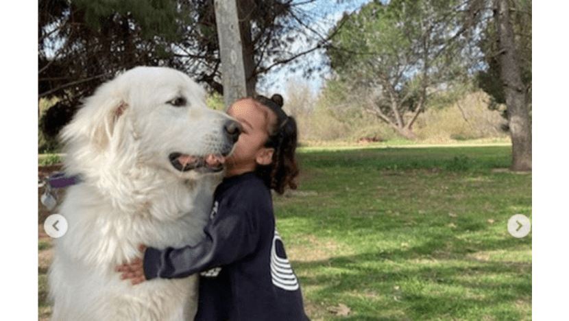 Kim Kardashian West's daughter Chicago loves 'doggies'