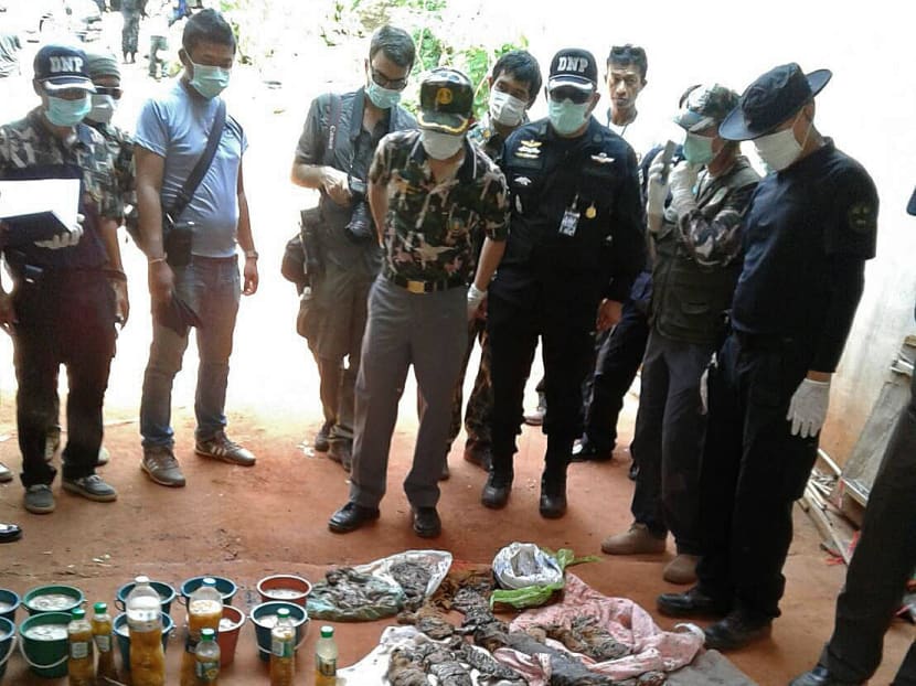 This handout picture shows Thai parks officers looking at the carcasses of 40 tiger cubs and a bear found at the Wat Pha Luang Ta Bua Tiger Temple in Kanchanaburi province, western Thailand. Photo: Dept of National Park/AFP