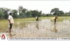 Climate crisis: Early arrival of monsoon season threatening farms in India 