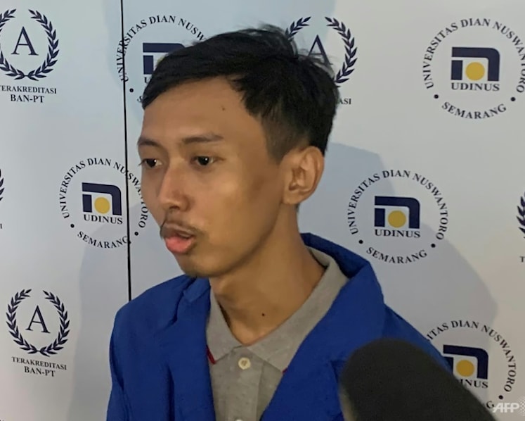 Indonesian student millionaire who sold selfies as NFTs redeems US$2,700 for now, plans more digital assets