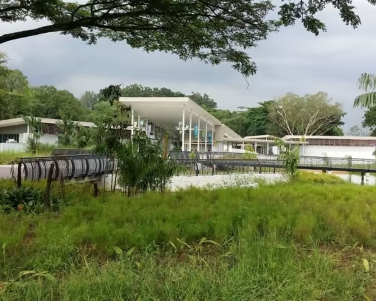 Man and 2-year-old daughter fall into hole in bridge at Sungei Buloh Wetland Reserve; NParks may close some areas if flooding occurs