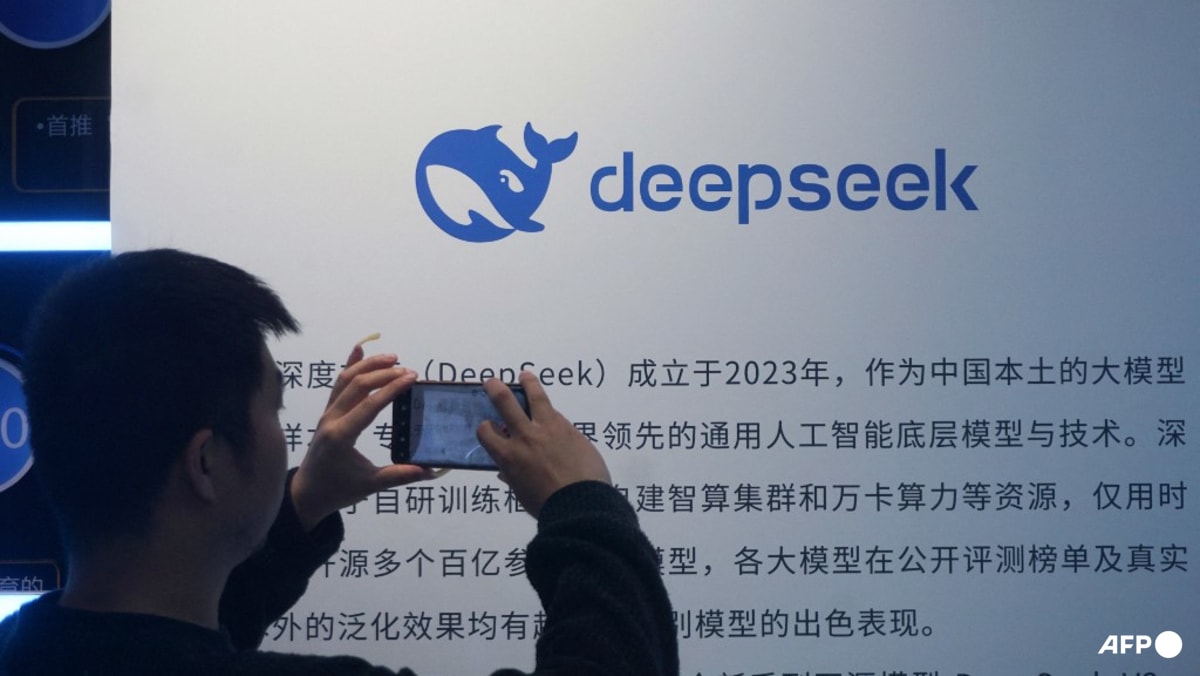 China's DeepSeek releases new AI model adapted to run on Huawei chips