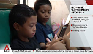 Indonesia's social media ban for children under 16 to kick in on Saturday