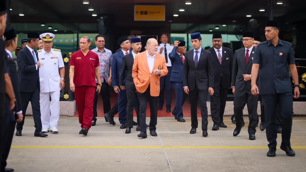 马来西亚国王苏丹·易卜拉欣（Sultan Ibrahim