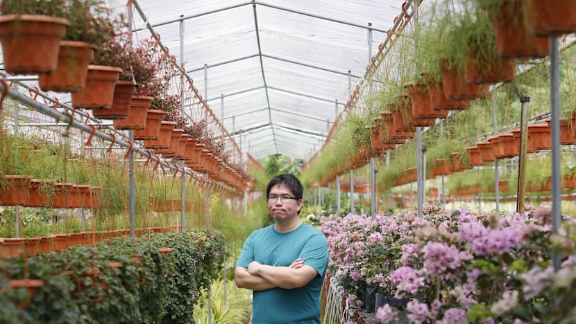 Tengah Air Base expansion: Short notice catches business owners off guard