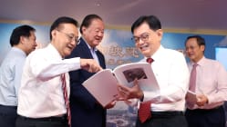 Related article image