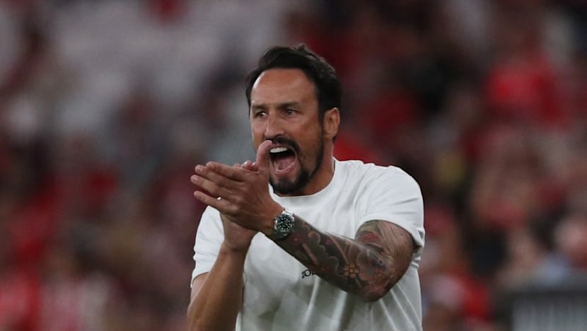 Wolves appoint Peixoto as new boss