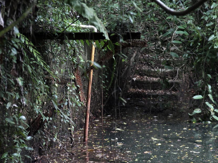 Abandoned reservoir near Telok Blangah Road found
